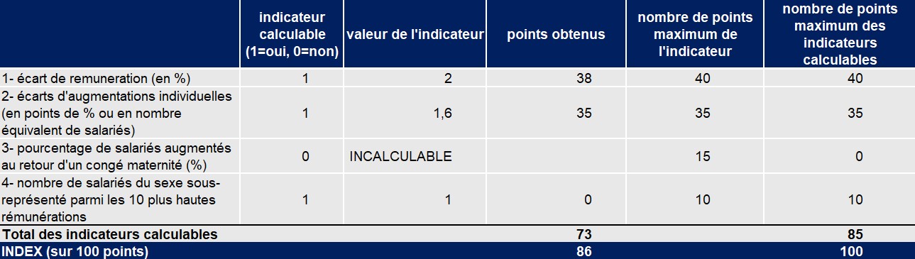 Index égalité professionnelle Hydrokit